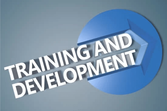 Training and development on gray background and blue arrow